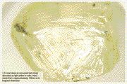 DIANOR RESOURCES1.5-carat stone from Leadbetter