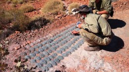 Geologists study drill cuttings at the Beatons Creek gold project in western Australia (2012). Source: Novo Resources