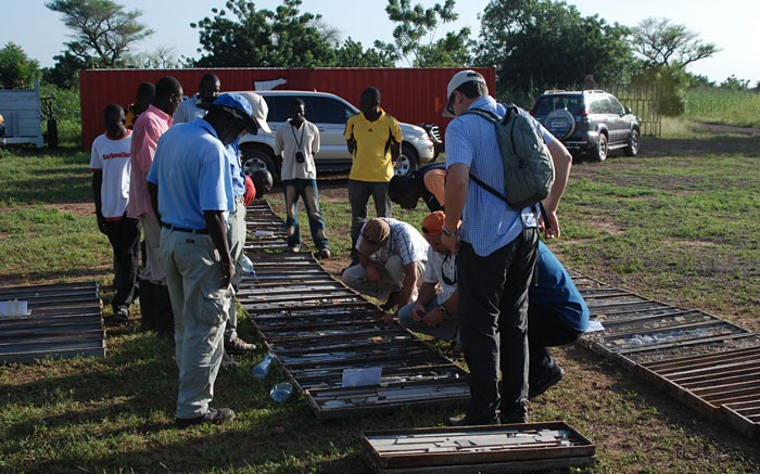 Core samples on display at True Gold Mining's Karma gold project in Burkina Faso. Credit: True Gold Mining