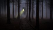 Foggy train depot in the forest. Credit: pexels.com.