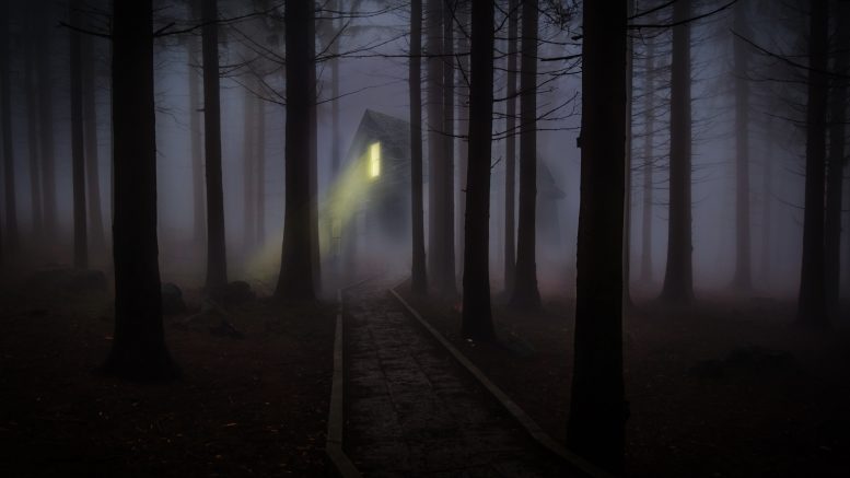 Foggy train depot in the forest. Credit: pexels.com.