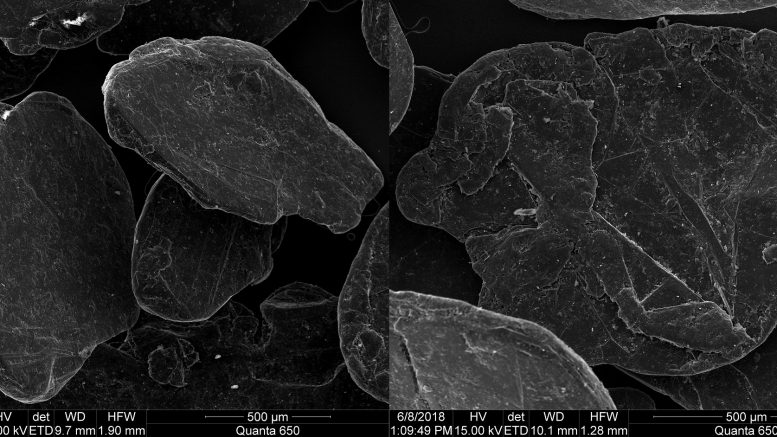 Scanning electron microscope images of Northern Graphite's +50 mesh XL flake graphite from its Bissett Creek project in Ontario. Credit: Northern Graphite.