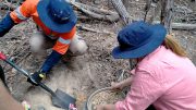 TNM Drill Down Southern Cross Sunday Creek