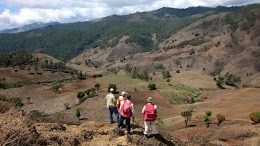 Dominican Republic halts GoldQuest project following protests